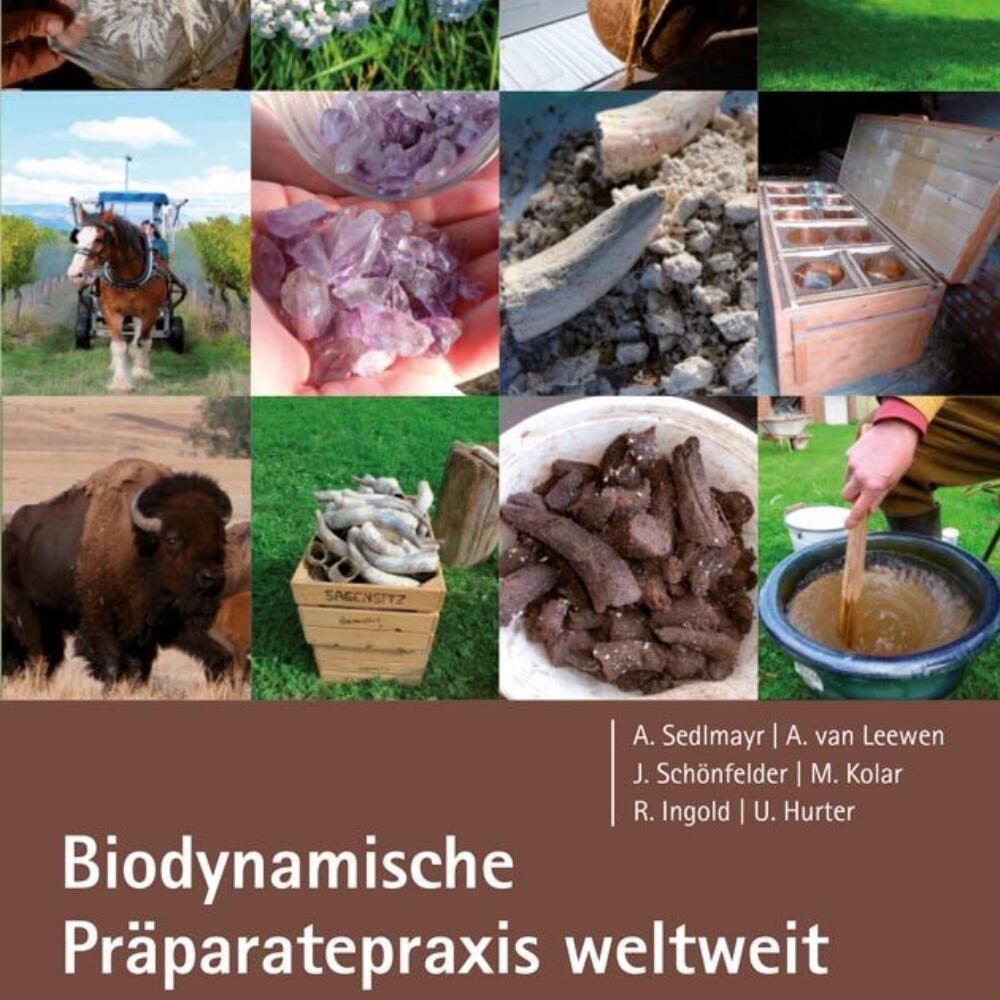 Worldwide Practice of Biodynamic Preparation Work - The Case Studies