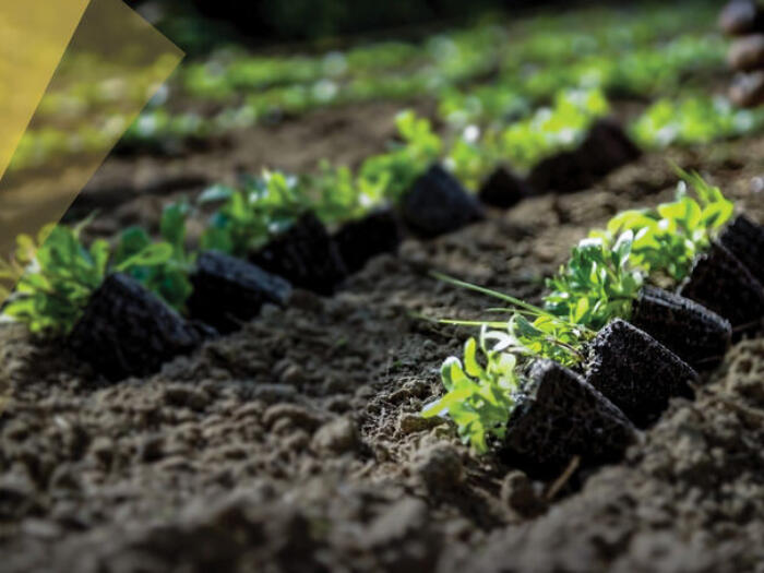 Video: Die biodynamische Qualität – gibt es sie wirklich?