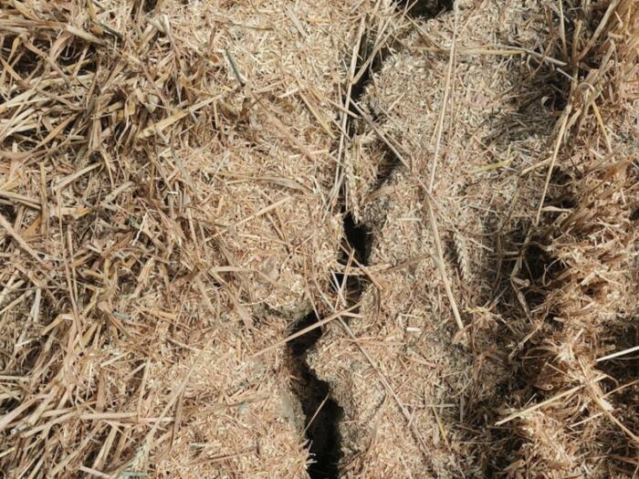 Klimaresiliente Landwirtschaft