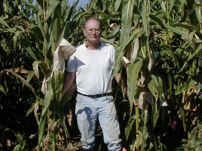 Das Zukunftspotenzial biodynamischer Maiszüchtung