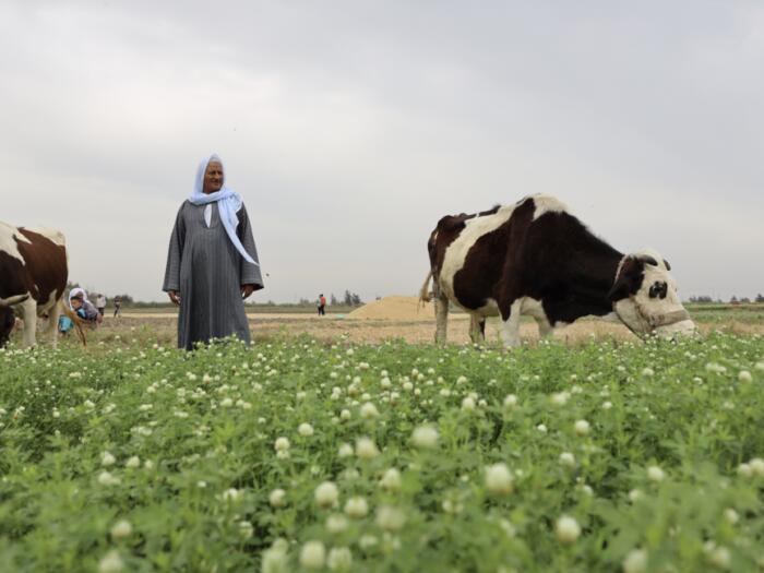 Greening the Desert