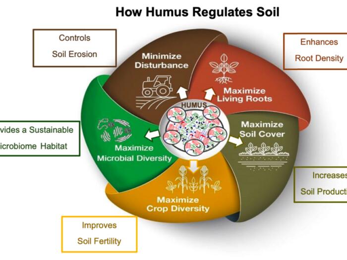 Wie Humus unser Bodenklima beeinflusst