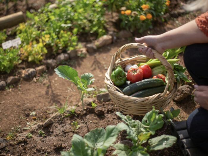 In welche Richtung geht die Ernährung?