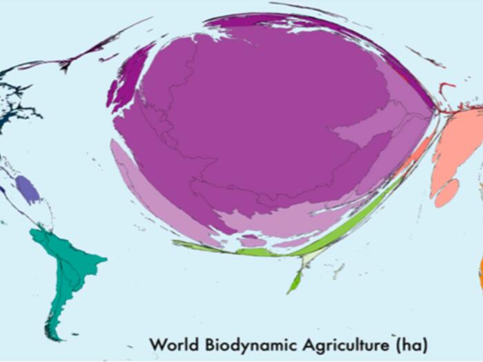 Wo die Biodynamik Wurzeln schlägt