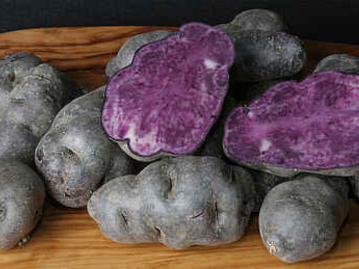 Biodynamische Präparate beeinflussen die biochemischen Bodeneigenschaften und die Qualität von Kartoffeln