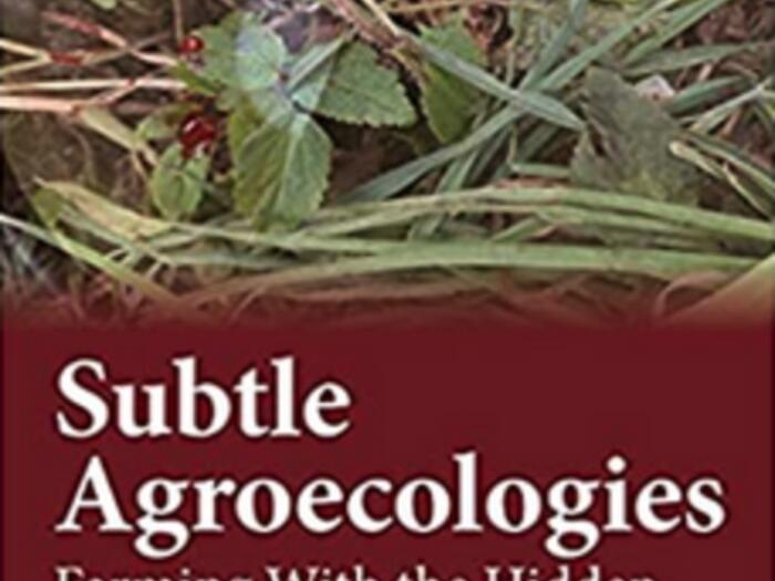 Subtile Agroökologie – Landwirtschaft mit der unsichtbaren Seite der Natur