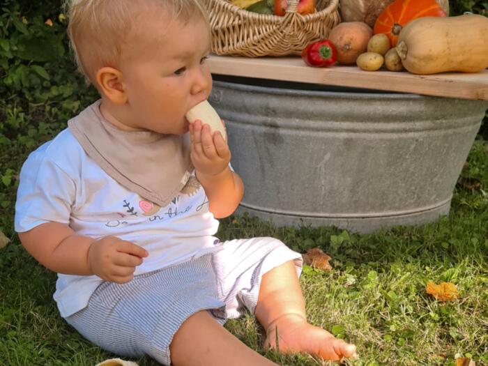 Früh übt sich – Kleinkinder profitieren von Begegnungen mit Lebensmitteln