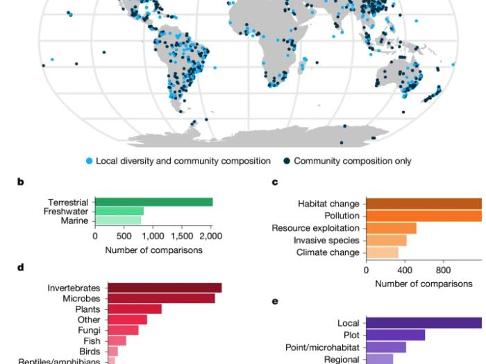 Neue Studie bestätigt menschlichen Einfluss auf die Biodiversität
