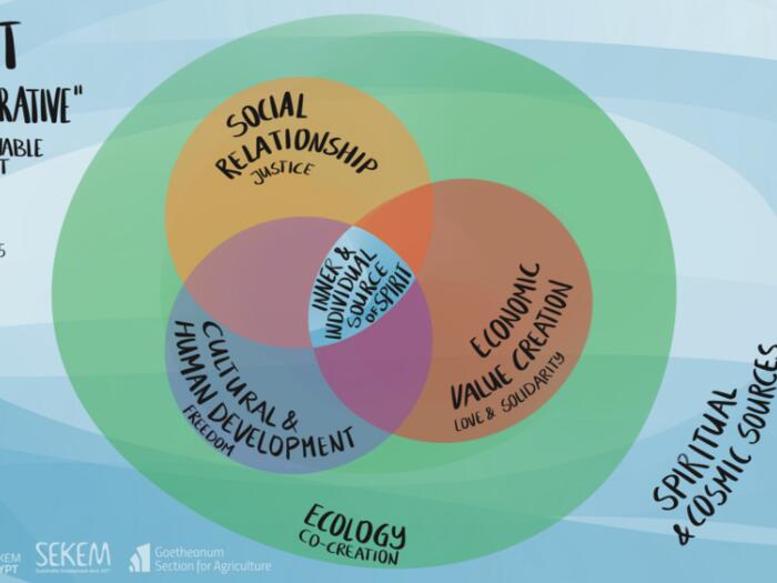World Goetheanum Forum 2025 in Sekem – Rückblick