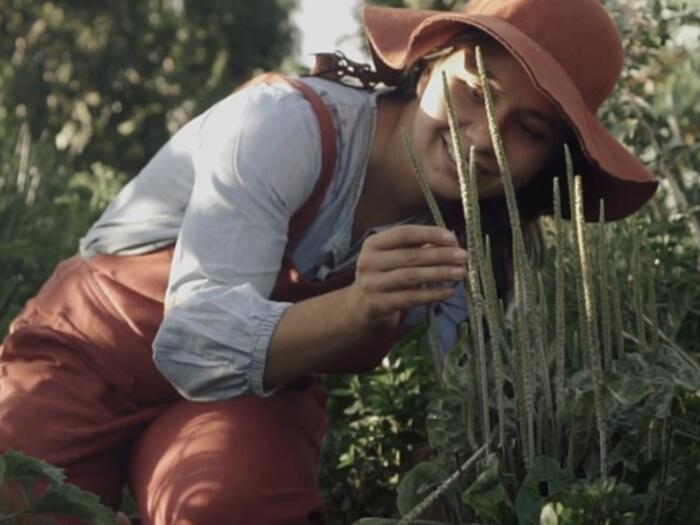 #31 Syntropic Agriculture