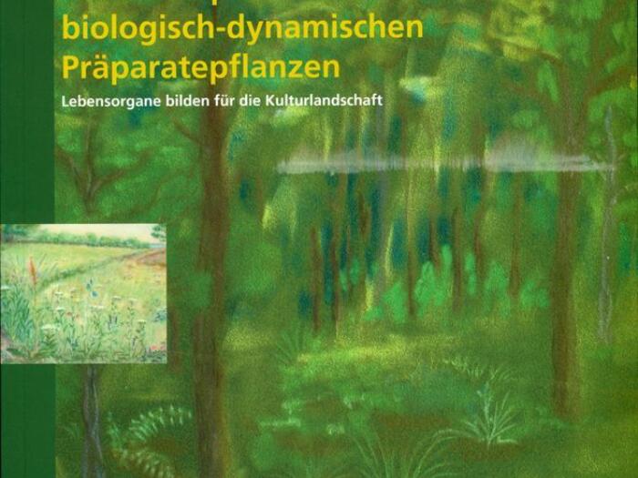 Auf den Spuren der biologisch-dynamischen Präparatepflanzen