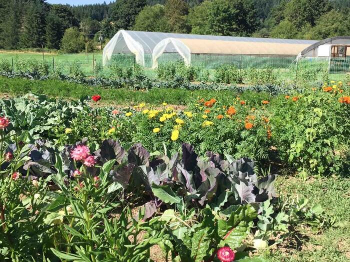 Zukunftsvision für die Biodynamik in den USA