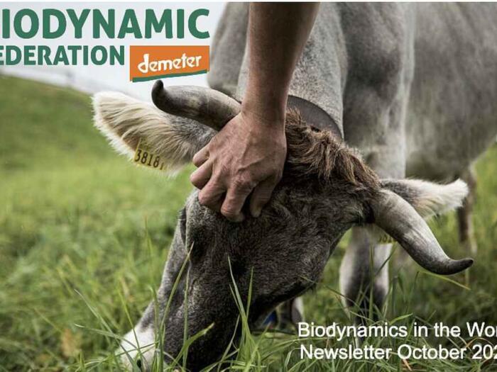 Neuer gemeinsamer Newsletter mit BDFI (November 2020)
