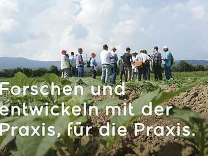 Der DOK-Versuch im Fonds Goetheanum