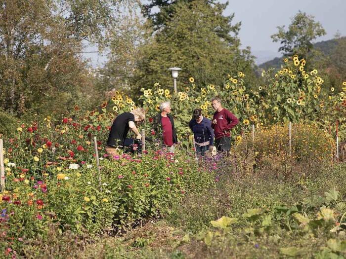 Chancen für eine nachhaltige Landwirtschaft. ​Forschungsprojekt mit Kurzvideos über biodynamische Landwirtschaft