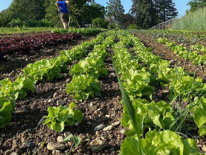 «Eine Landwirtschaft ohne Pestizide ist möglich»: ﻿﻿Beitrag der biodynamischen Landwirtschaft zur Gesundheit der Erde