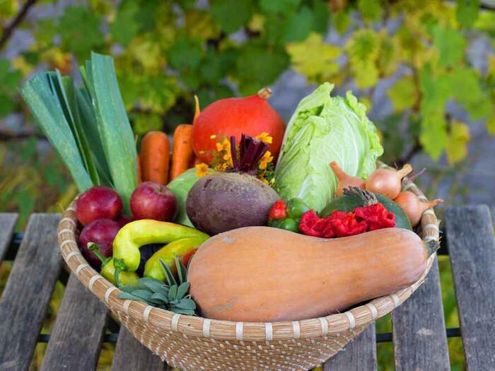 Mindful Eating