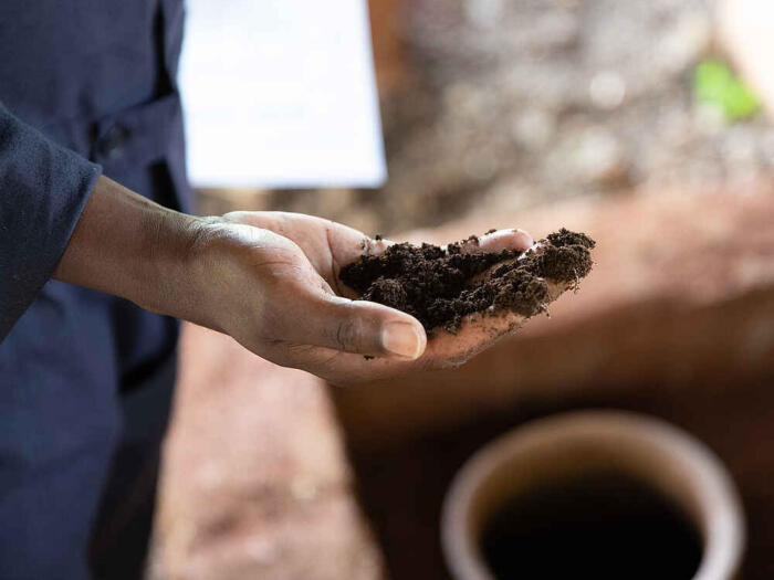 Meta-Analyse: Positive Auswirkungen der biologisch-dynamischen Landwirtschaft auf die Bodenqualität