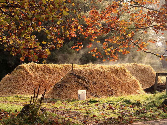 Biodynamische Präparate: Biostimulanzien für Boden und Kompost?