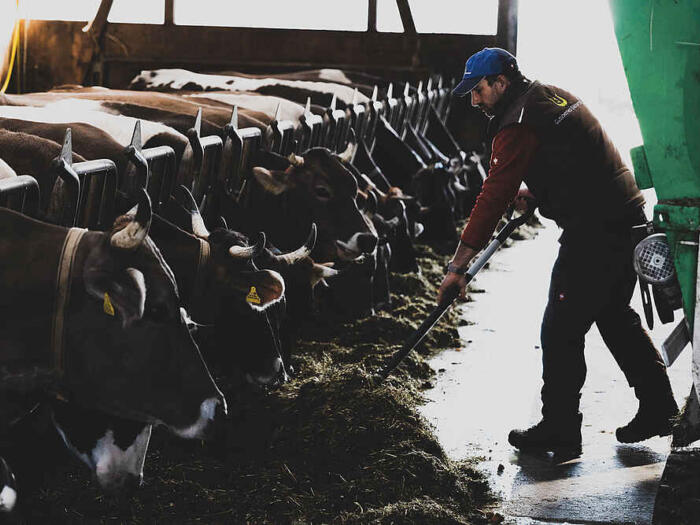 Demeter Schweiz steht ein für eine gesunde Landwirtschaft