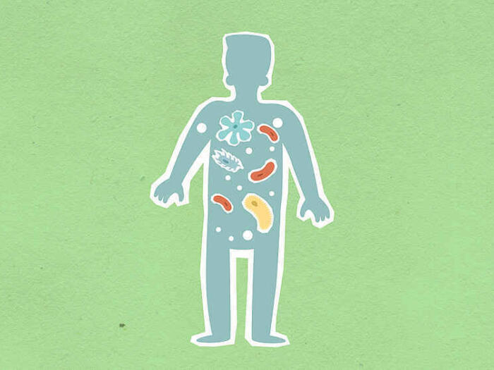 Microbiota