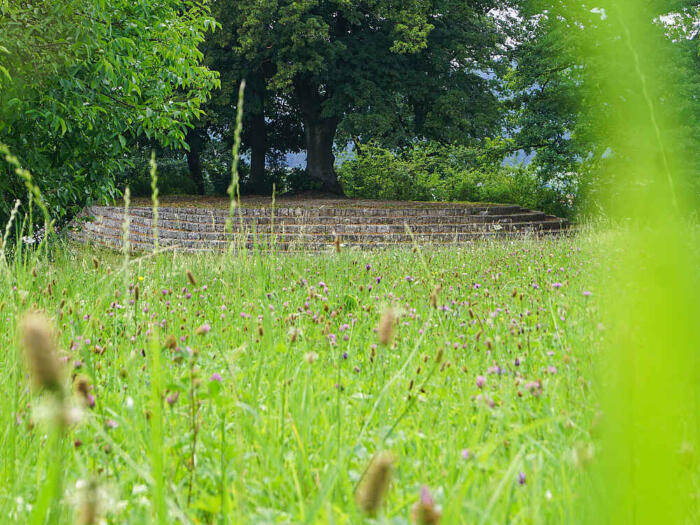 Betteshanger Sommerschule: das fehlende Bindeglied zwischen Biodynamik und biologischem Landbau