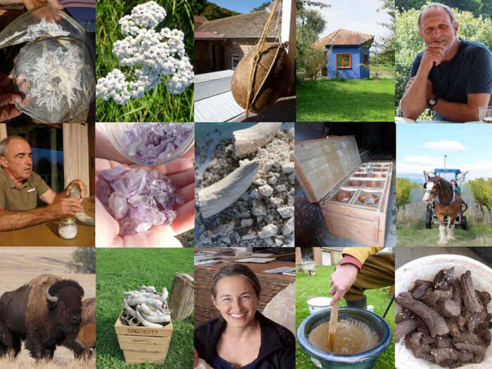 Studie: Die biodynamischen Präparate im Kontext