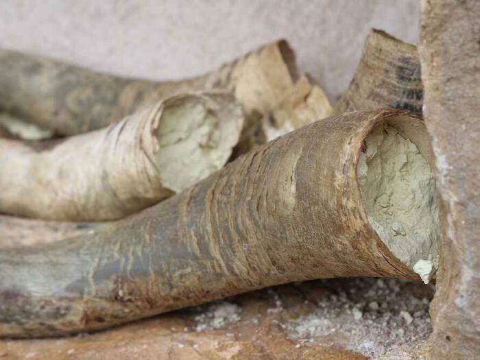 Benefits dank einzigartigen Bakteriengemeinschaften in den biodynamischen Präparaten