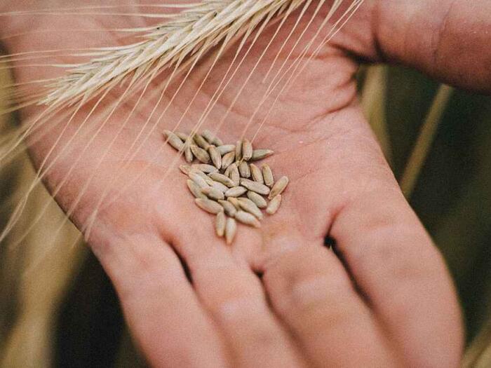 Aufruf: Ihr Beitrag für den "Biodynamic Resource Hub"