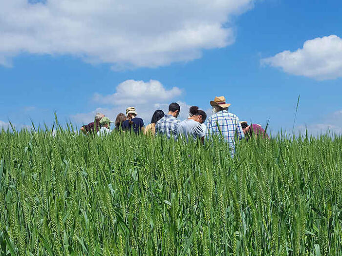 Rückblick – Weiterbildung Biodynamische Pflanzenzüchtung Sommer 2019