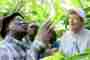 Biodynamic agriculture under the conditions of smallholder agroforestry systems