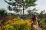 How the land heals, and how our senses are nourished