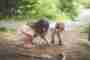 Playing outside prevents allergies in children