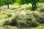 Jahresthema 2024/25