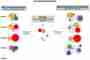 Biodynamic agriculture favours adaptive fungal communities