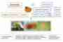 The effect of biodynamic preparations on growth and fruit quality of giant pumpkin (Cucurbita maxima D.)