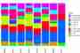 New research on bacterial diversity in biodynamic preparations