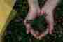 Video: All mumbo-jumbo or solution to current problems?