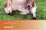 Was ist biologisch-dynamische Landwirtschaft?