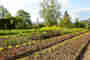 Section for Agriculture