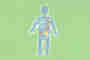 Microbiota