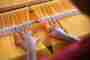 Biodynamic textiles and fibres