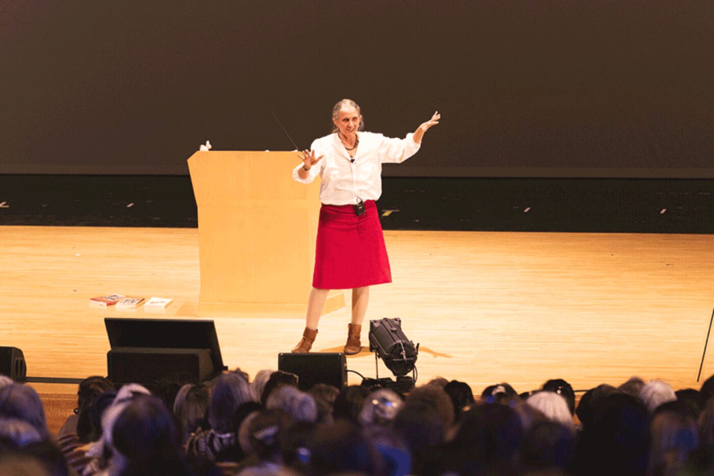 «Kindergarten: an Inivitation to Find the Sacred in the Ordinary Daily Life»: Silvia Jensen, educator and puppeteer from Brazil, opened the conference’s lecture series with this talk. (Photo: Goetheanum/Xue Li)