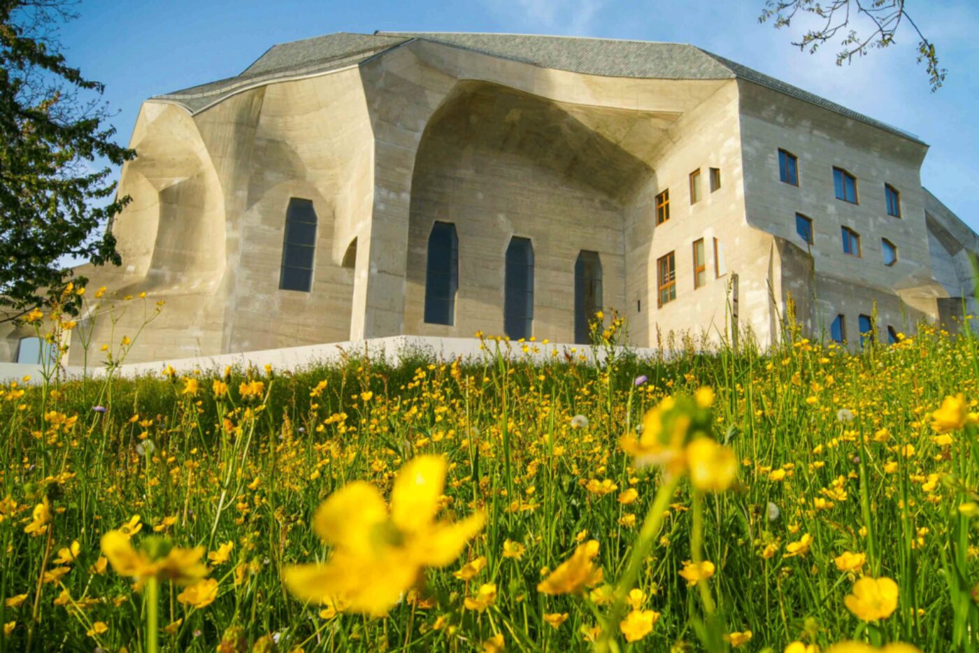 Das Goetheanum hinter einer grünen Wiese