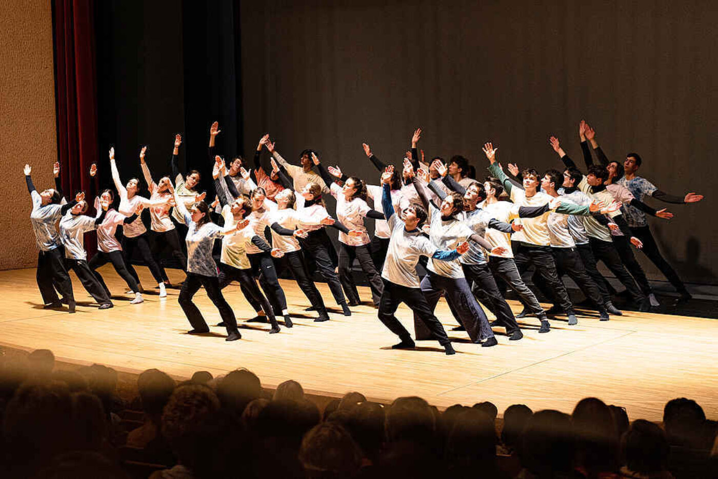 Bothmer performance with Ottó Karkus and students from the Fészek Waldorf School, Hungary