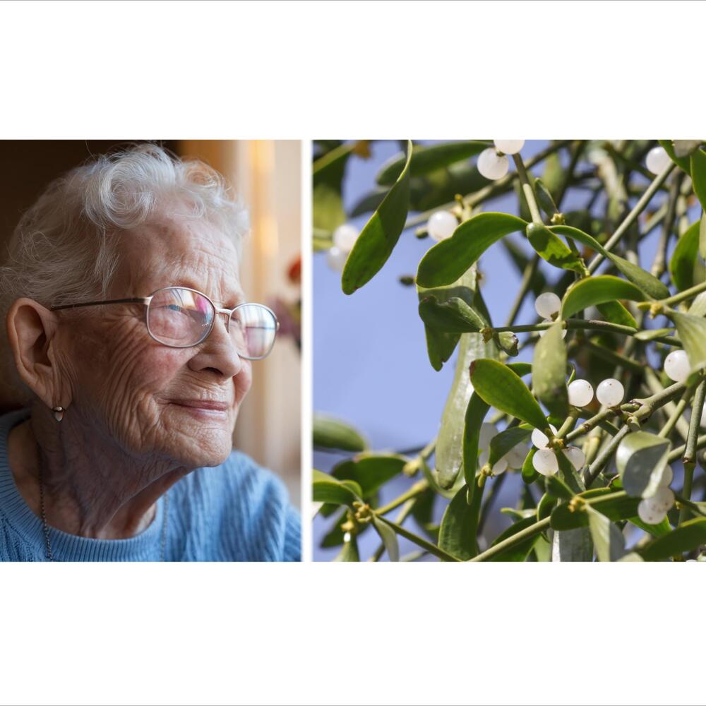 Symposium "Grenz- und Zukunftsfragen  in Onkologie und Palliativmedizin"