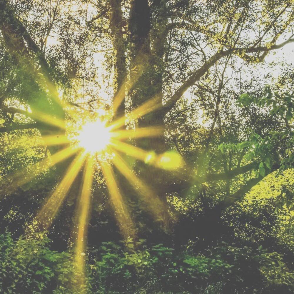 Awakening in the Temple of Spirit: Orienting to our Spiritual Home