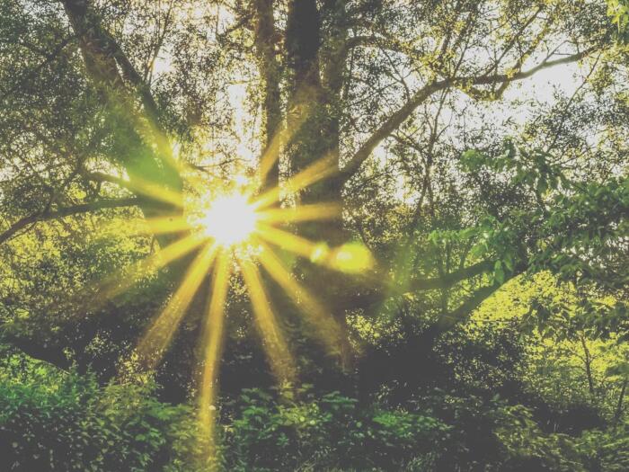 Awakening in the Temple of Spirit: Orienting to our Spiritual Home