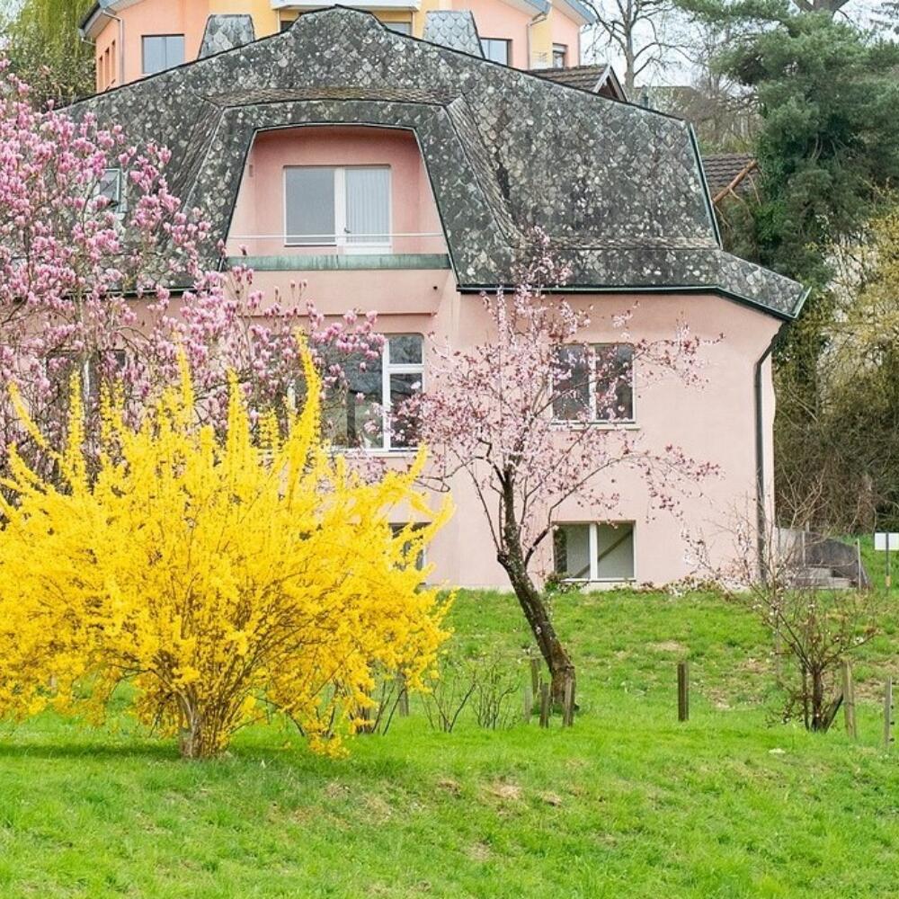 Gruss der Sektionsleitung zur Passionszeit und zu Ostern