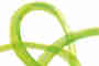 ICAAT International Coordination of Anthroposophic Arts Therapies